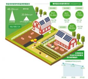 猪肉价格为何跌跌不休:消费低迷,养殖亏损等