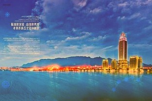 春节销售量增长七八倍!内蒙古万株蝴蝶兰绽放迎新春