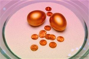 打造人才聚集高地中天举行2022年人才代表新年茶话会