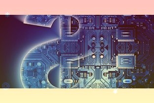 11只股股价创历史新高