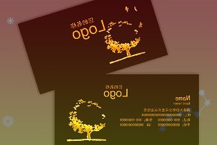 圣诞假期全球约5700架次航班取消,美国占3成
