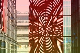 富力海洋欢乐世界：生态优先开辟海洋主题公园新道路